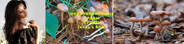 спиды Беломорск