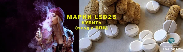 прущие грибы Белоозёрский