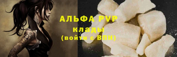 прущие грибы Белоозёрский