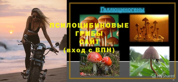 спиды Беломорск