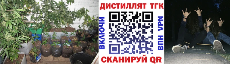 Купить закладки  Белокуриха  ТГК жижа 