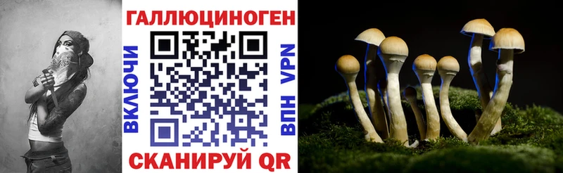 Галлюциногенные грибы Psilocybe  Купить где  Белокуриха 